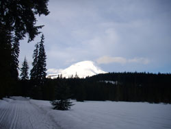 Trillium Tracks - Cross Country Ski Trail - Oregon Trail Barlow Road